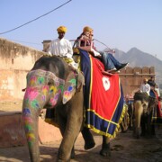 Reise nach Indien für Singles und Alleinreisende buchen beim Testsieger singlereisen.de