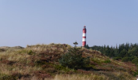 Unvergesslicher Singleurlaub an der Nordsee mit Ausflügen – nur beim Testsieger singlereisen.de!