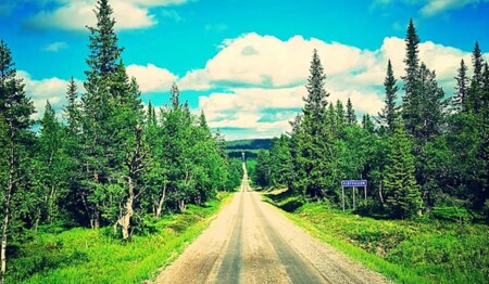 Erleben Sie einen Aktiv- und Abenteuerurlaub auf unserer Singlereise nach Schweden