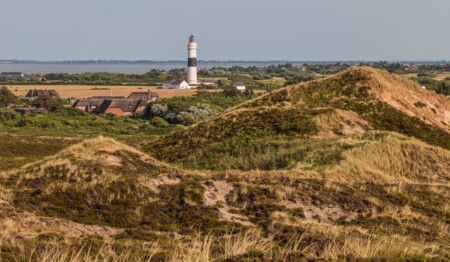 Singleurlaub nach Husum an der Nordsee mit Ausflug nach Sylt buchen bei singlereisen.de