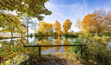 Aktivurlaub für Singles in Bad Griesbach mit herbstlichem Laub im Kurpark