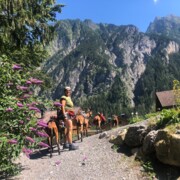 Wanderurlaub für Alleinreisende im Brandnertal buchen bei singlereisen.de