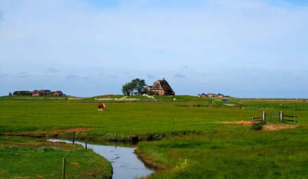 Unvergesslicher Singleurlaub an der Nordsee mit Ausflügen – nur beim Testsieger singlereisen.de!