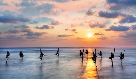 Singlereise Sri Lanka: Stelzenfischer bei Galle für Singles & Alleinreisende.
