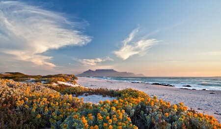Malerische Aussicht vom Bloubergstrand auf den Tafelberg und Kapstadt während der Südafrika Gruppenreise für Singles & Alleinreisende