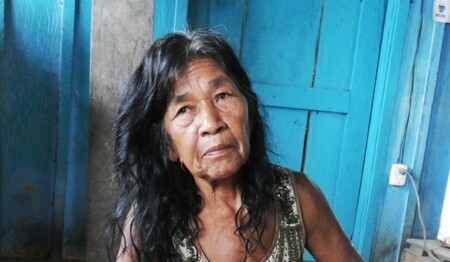 Singlereise Amazonas Kolumbien Dschungel: Alleinreisende entdecken die rosafarbenen Delfine und indigene Kultur.