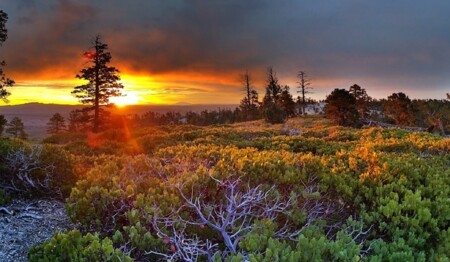 Singlereise nach Schweden und mit Gleichgesinnten einen Aktiv- und Abenteuerurlaub in der unberührten Natur erleben