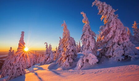 Winter-Urlaub in Schweden für Alleinreisende & Singles bei singlereisen.de