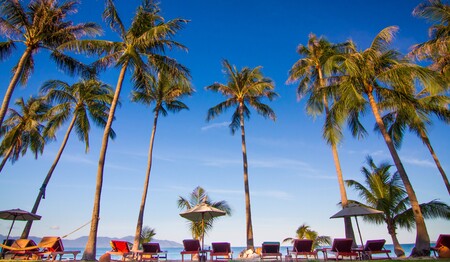 Thailand erleben mit singlereisen.de - von Bangkok bis Koh Samui