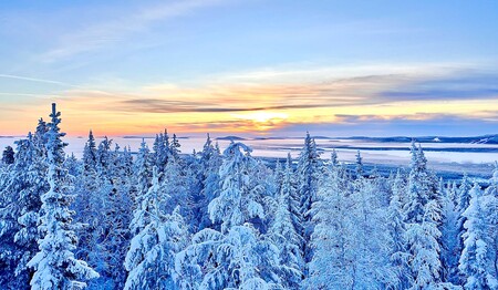 Abendrot über verschneiten Wäldern in Schwedisch-Lappland für Singles & Alleinreisende.