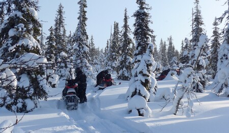 Motorschlitten-Tour durch verschneite Wälder in Schwedisch-Lappland für Singles & Alleinreisende.