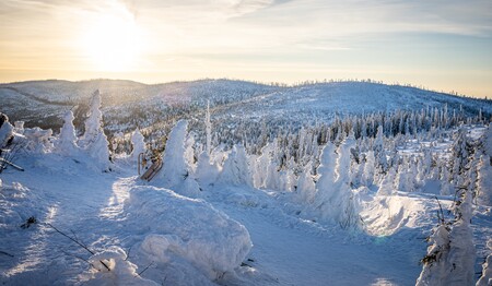 Singlereisen Bayerischer Wald und mit weiteren Singles & Alleinreisenden die Natur genießen. ise