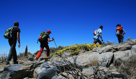 Singlereise auf der Kanareninsel La Gomera mit anderen Alleinreisenden