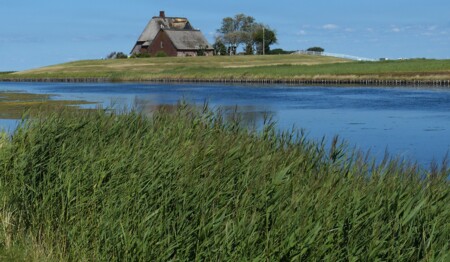 Singleurlaub nach Husum an der Nordsee buchen bei singlereisen.de