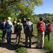 Wandergruppe im hessischen Spessart auf einer Wanderreise mit singlereisen.de