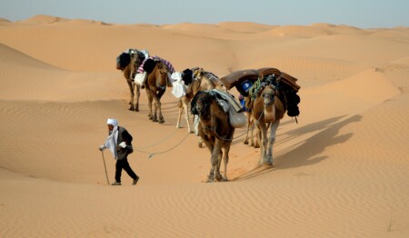 Beim Kameltrekking in der Sahara mit singlereisen.de die Faszination der Wüste entdecken