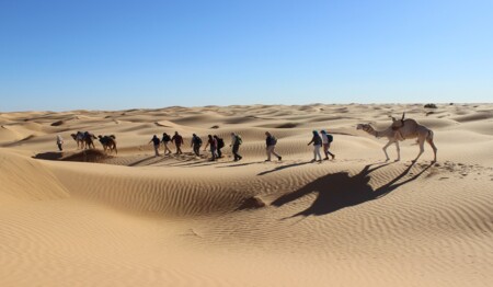 Beim Kameltrekking in der Sahara mit singlereisen.de die Faszination der Wüste entdecken