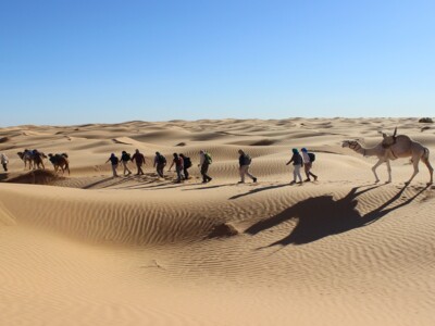 Beim Kameltrekking in der Sahara mit singlereisen.de die Faszination der Wüste entdecken