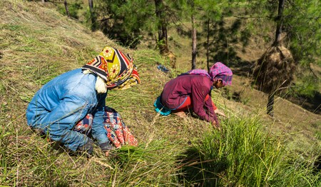 Nepal Urlaub erleben Singles & Alleinreisende mit singlereisen.de