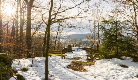 Singlereisen Bayerischer Wald und mit weiteren Singles & Alleinreisenden die Natur genießen.