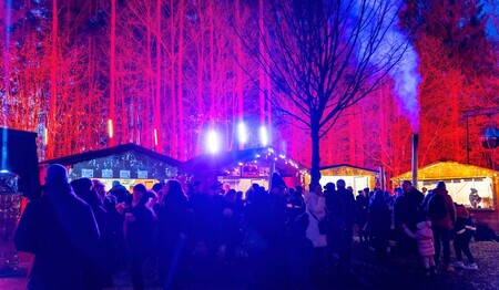 Silvester in Bad Griesbach mit festlicher Beleuchtung im Kurwald für Singles & Alleinreisende.