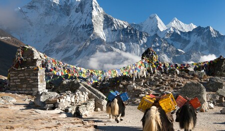 Nepal Singlereisen: Blick auf den Mount Everest im Himalaya-Gebirge