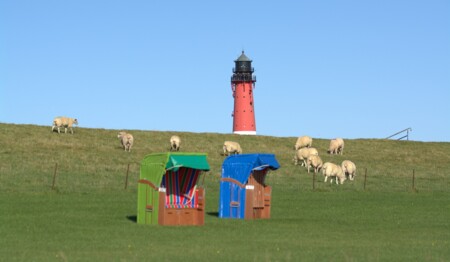 Singleurlaub an der Nordsee mit Ausflügen nur beim Testsieger singlereisen.de