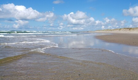 Singleurlaub an der Nordsee mit Ausflügen nur beim Testsieger singlereisen.de