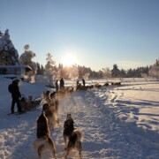 Silvester in Schweden – ein außergewöhnlicher Singlerurlaub buchen beim Testsieger singlereisen.de