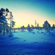 Mit Singlereisen nach Schweden und andere Singles kennenlernen